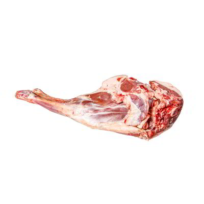 Cosciotto di agnello